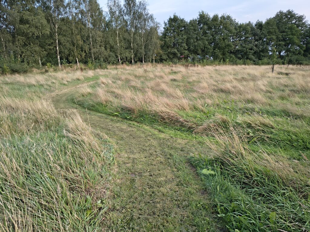 Img 20250806 203236308 Hdr