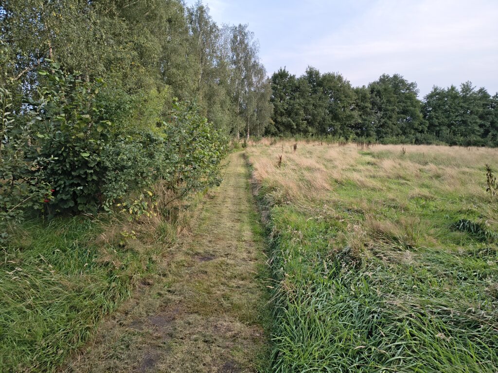 Img 20250806 203256712 Hdr