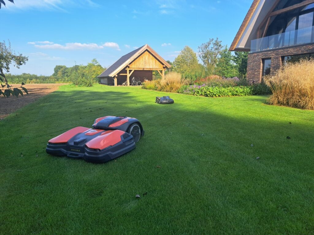 042d7381 Fe8e 4c82 Bb66 B081a214e801