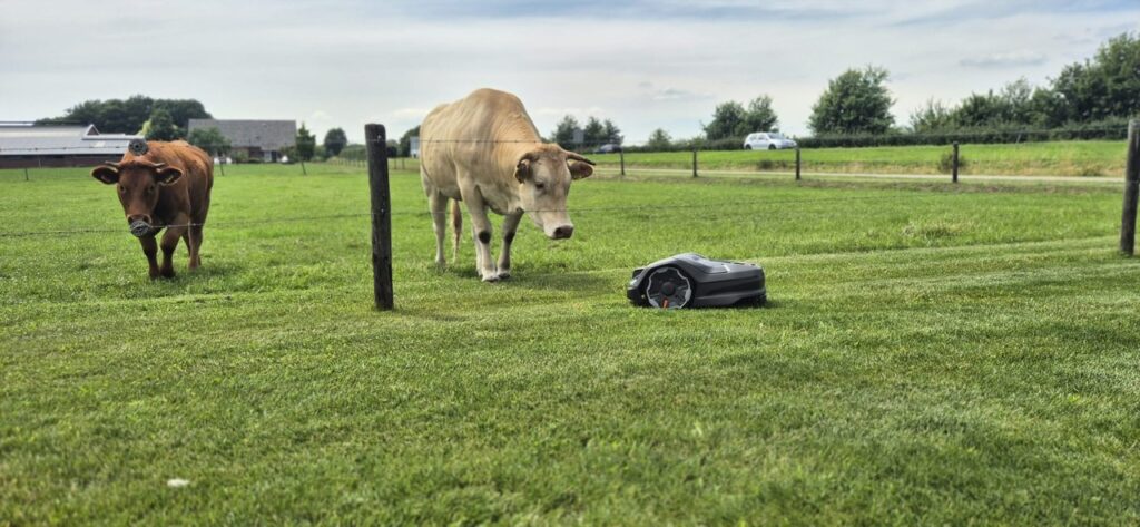 C1fc67ff 562e 4cd1 8cd0 84326bab0615