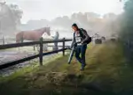 970762101 (1)
